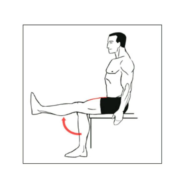 Seated leg extension